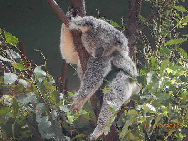 Cape Byron