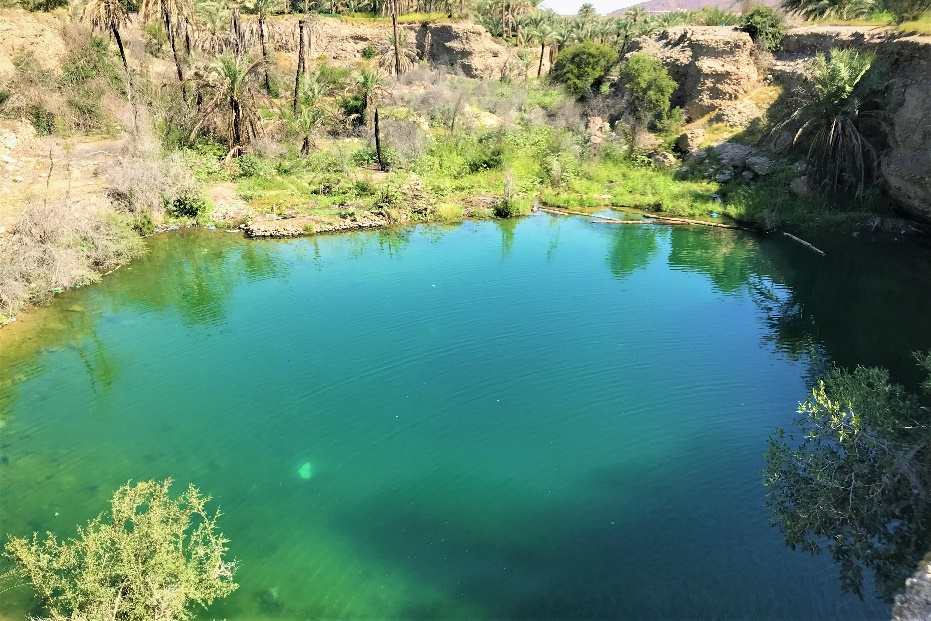 beautiful pool