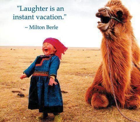 laughter is a vacation quote - girl laughing with camel