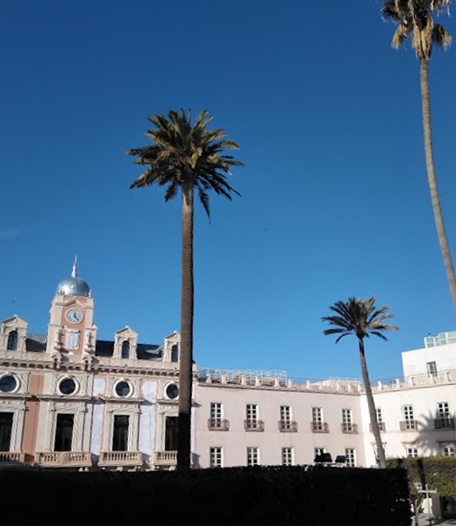 historic buildings and palm trees with blue sky