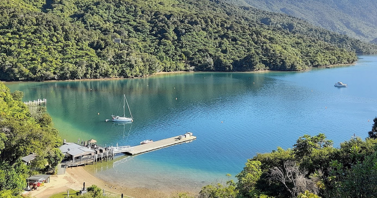 A view of Punga Cove Resort jetty from above, in the sunshine