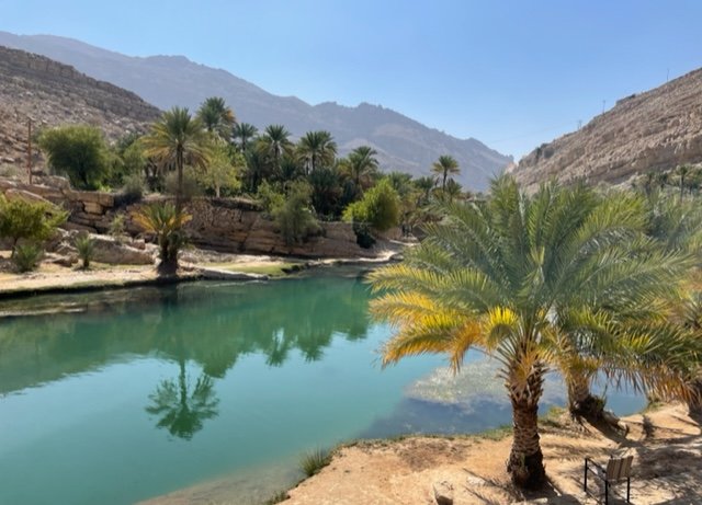 An oasis pool and palm trees at Wadi Bani Khalid in Oman.